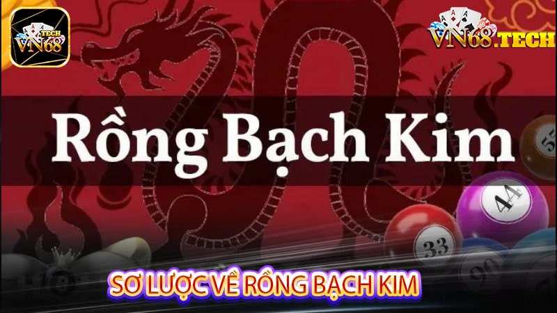 sơ lược về rồng bạch kim