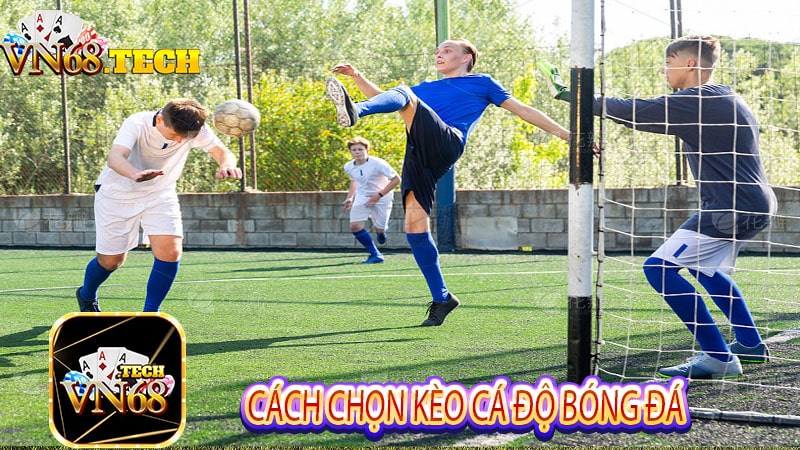 Cách chọn kèo cá độ bóng đá