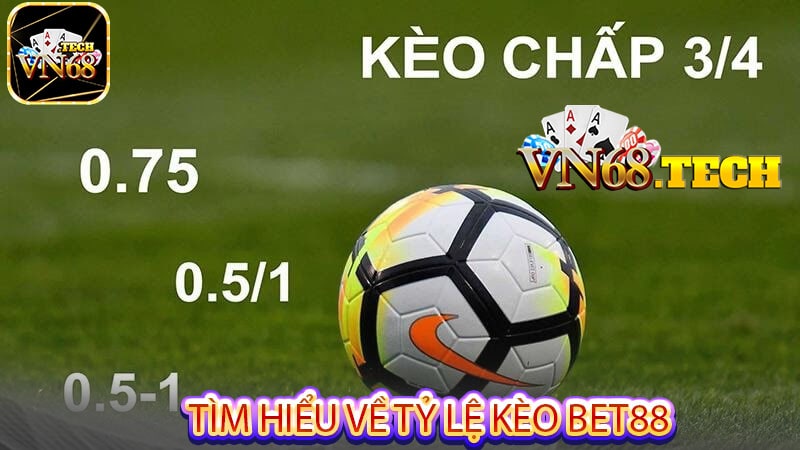 Tìm hiểu về Tỷ lệ kèo bet88